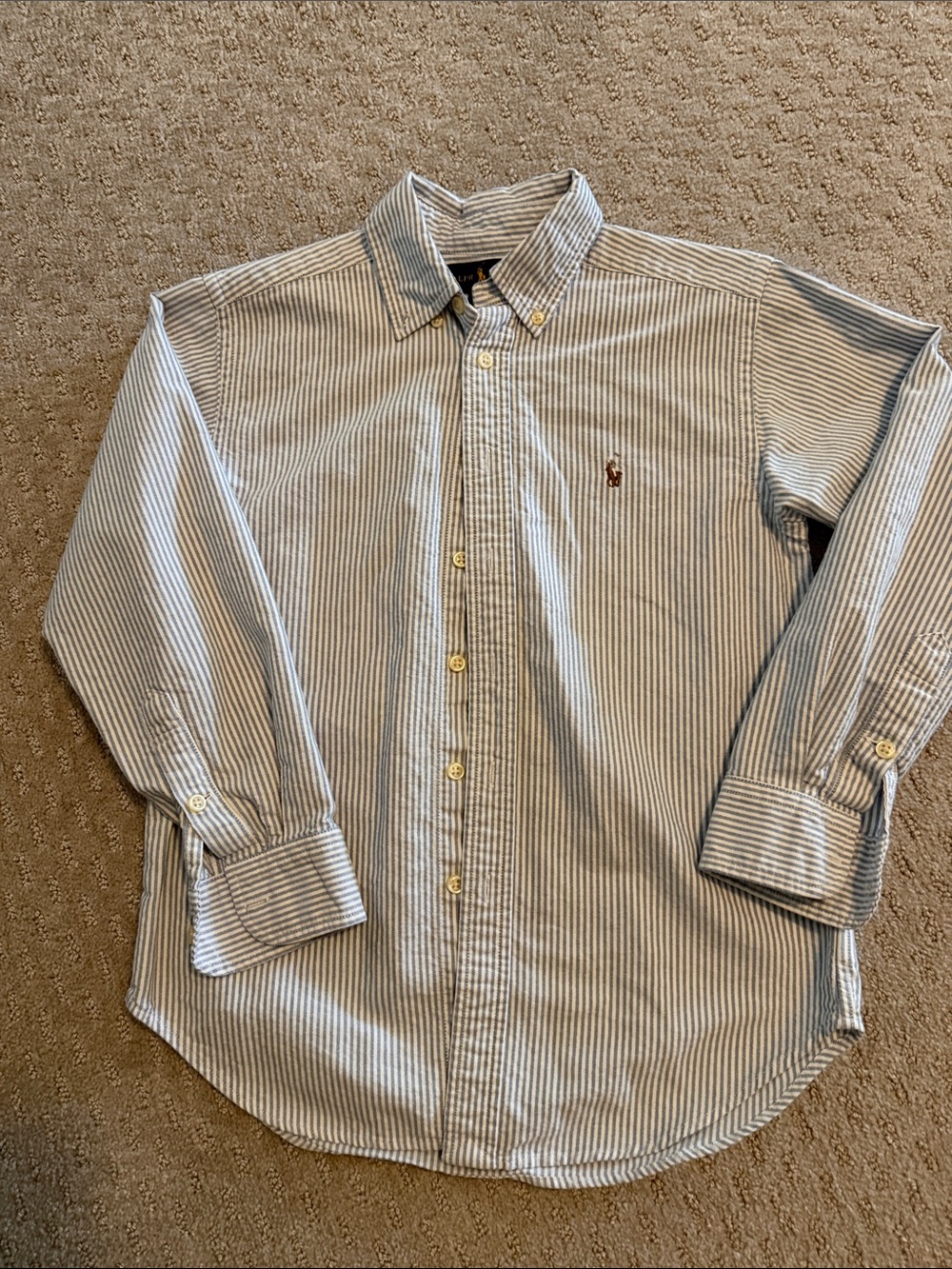 Polo by Ralph Lauren Light Blue & White Stripe Button-Down Shirt